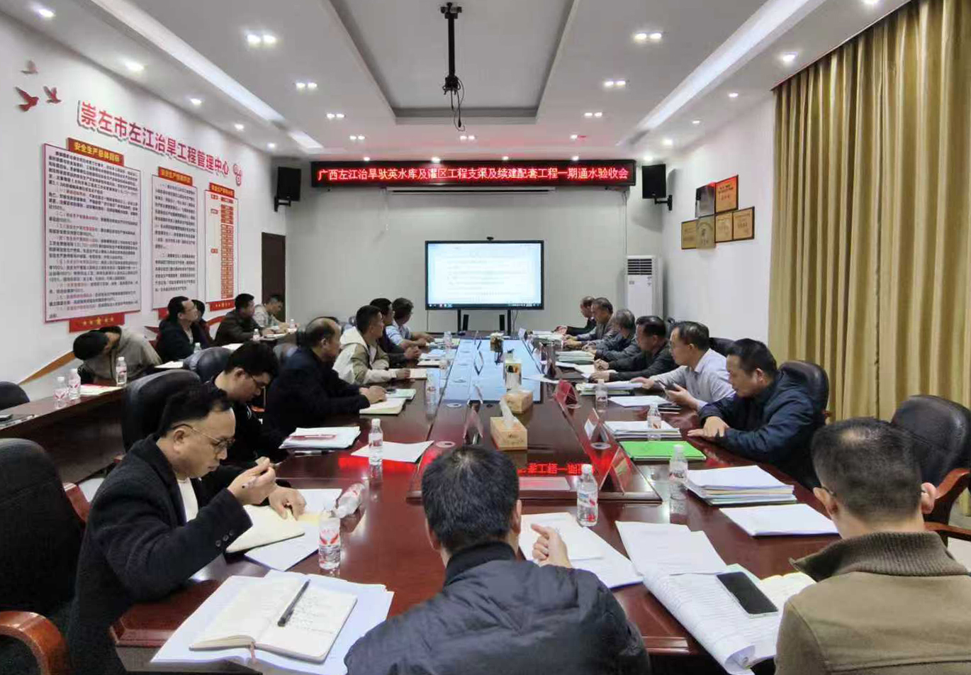 广西驮英灌区支渠及续建配套工程顺利通过一期通水验收