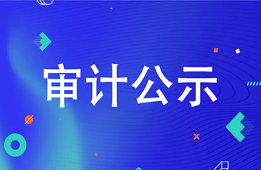 审计公示